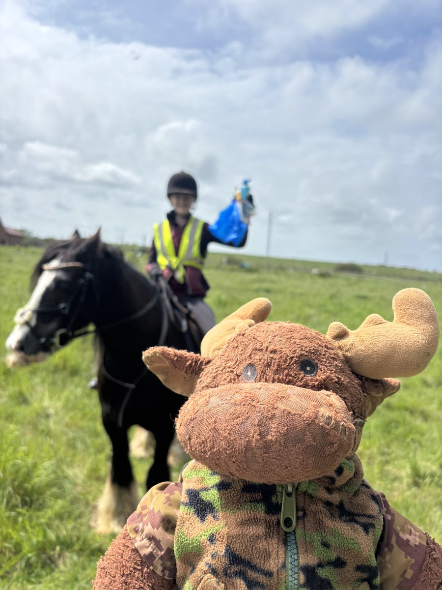 waddells74's tweet photo. #litter picnic 🧺 left behind!!! Warning ⚠️ Dangerous ‼️ to all animals 🐞 🐛 🐝 🐁 🐦 🐸 🐇 🐿️ 🐴 try harder humans !!! #Cambois it takes 2minutes to #Binit guys 💪🏼 😀 🐴 💕 xxxx https://t.co/BHsq7xAt41