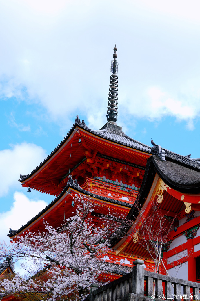 roberbarn's tweet photo. Just stumbled upon a hidden cherry blossom lane in Kyoto—pink petals swirling in the breeze, quiet temple bells chiming nearby. This is pure magic https://t.co/BqQNEHyQYB