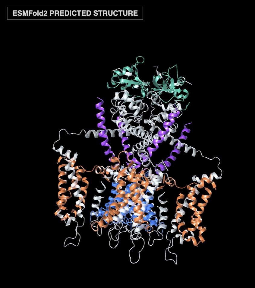 SandboxAQ's tweet photo. Congratulations to @Biohub on today’s release of ESMFold2, ESMC, and ESM Atlas, an ambitious step toward a world model of protein biology. 

Biohub’s new AI system learns the underlying rules of protein biology from billions of protein sequences, enabling it to predict protein structures, map relationships across the protein universe, and design entirely new proteins computationally. 

We’re excited to see SandboxAQ included among the platforms helping make these models more accessible to researchers and developers worldwide. 

Open, scalable AI systems like these have the potential to accelerate how scientists explore protein function and translate biological insight into real-world impact. Can't wait to see what the research community builds next! 

Learn more at https://t.co/JQbNx7Zer3