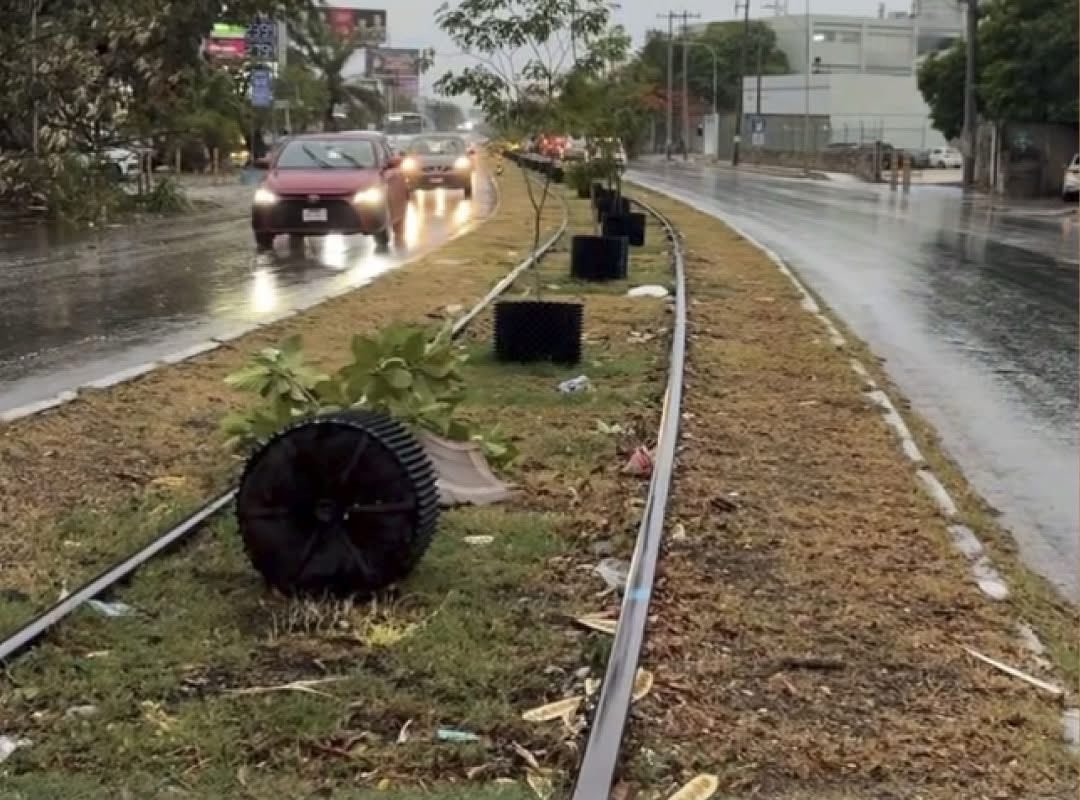 Un Pelaná cualquiera tweet media