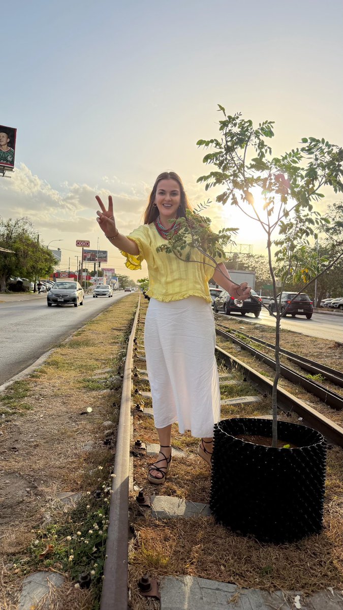 Un Pelaná cualquiera tweet media