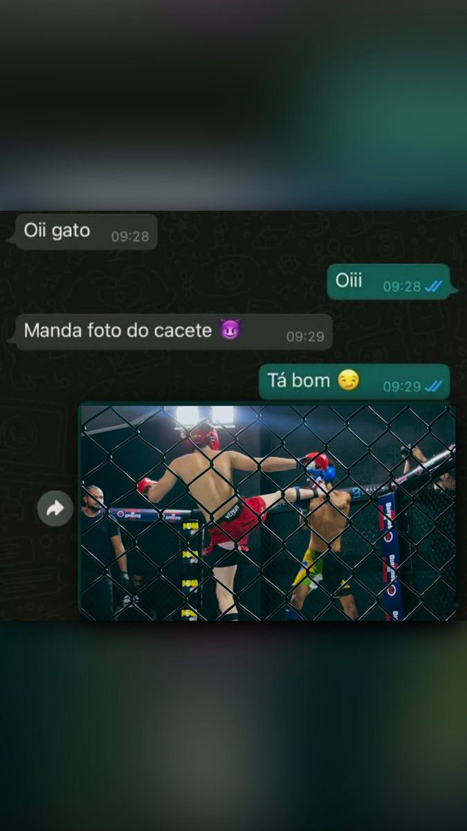 Felipe Siqueira tweet media