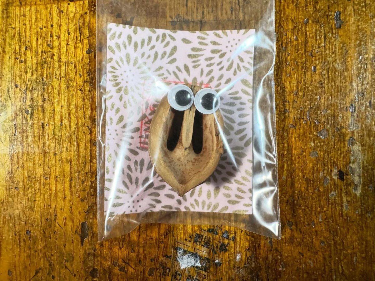 hirootoya's tweet photo. 正覚寺の御朱印を圓明寺でもらう✨

#正覚寺 #圓明寺 #夢前七福神 #御朱印 #七福神 https://t.co/Frjb3e0Ngd