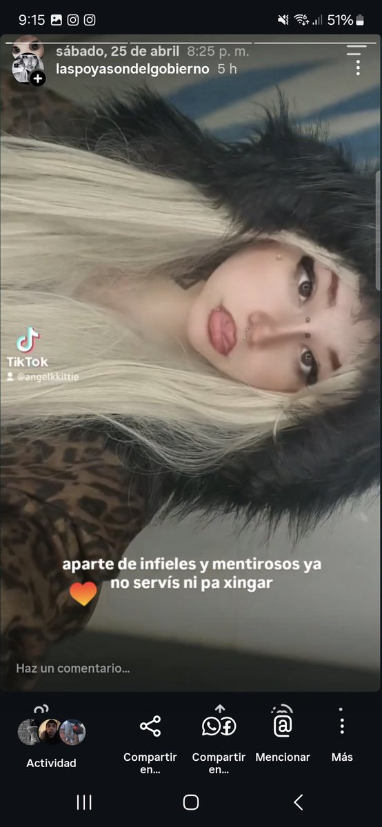 el puma tweet media
