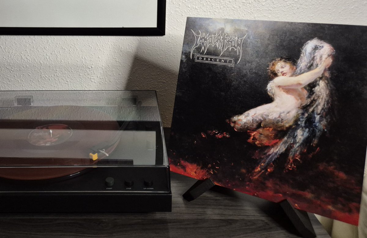TheMetalPulse's tweet photo. Now playing...
Immolation - "Descent" π₯
#metalpulse #nowplaying #immolation #deathmetal https://t.co/iVbOOia9Ar