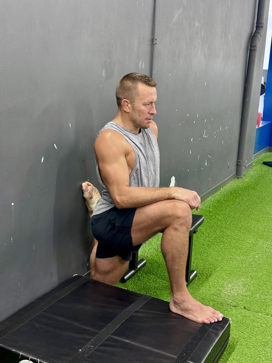 Georges St-Pierre tweet media