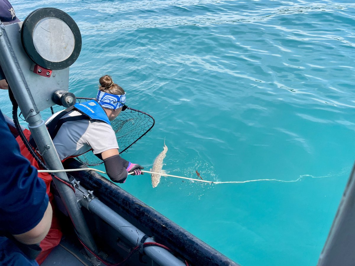 FishBio_Briggs tweet picture