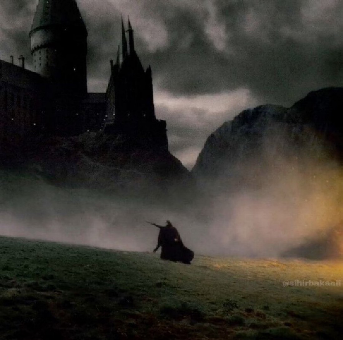 TheDailyHPotter's tweet photo. Severus Snape 🖤 https://t.co/2UdNEyYSer