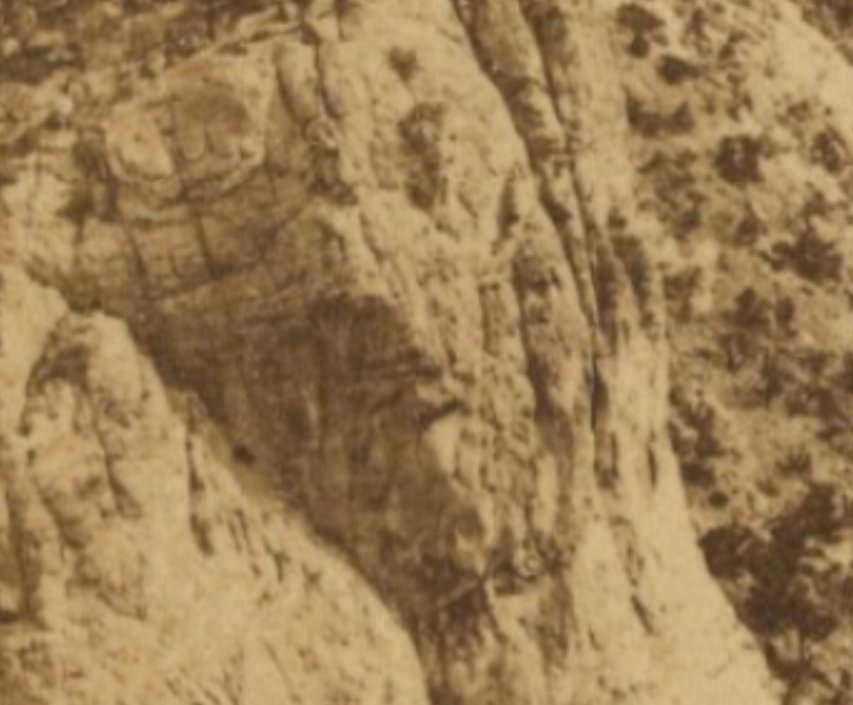 AlBossOfficial's tweet photo. wild finding to share:--

'A Canon.'
Winslow Creek, Arizona, AD 1875
Photograph by John Karl Hillers