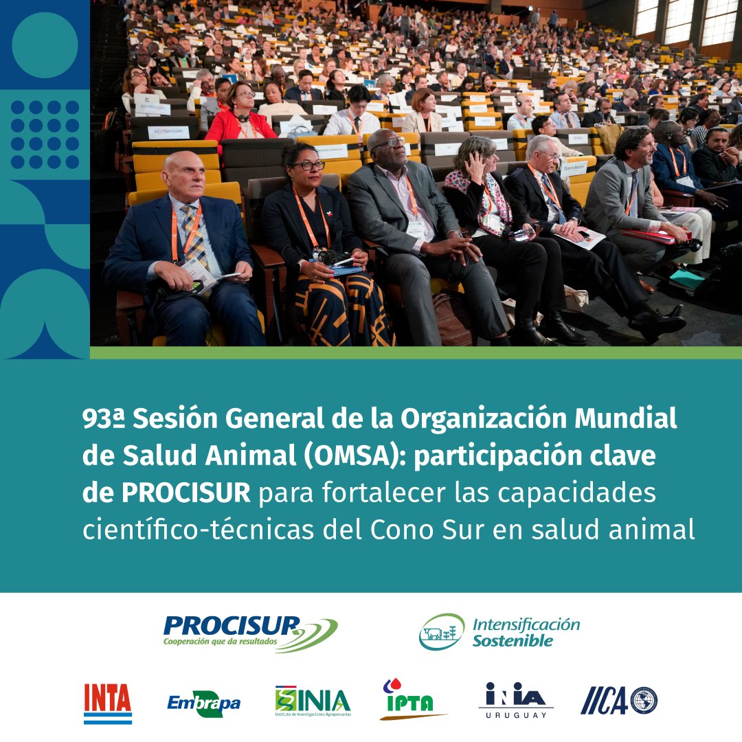 procisur's tweet photo. PROCISUR participó de la 93ª Sesión General de la OMSA en París, uno de los principales espacios globales sobre sanidad animal, vigilancia epidemiológica y cooperación técnica. 🌎

@INIA_UY @IPTA_Paraguay @iniachile @embrapa @intaargentina @IICAnoticias @StarIdaz https://t.co/CmzlC4icG0
