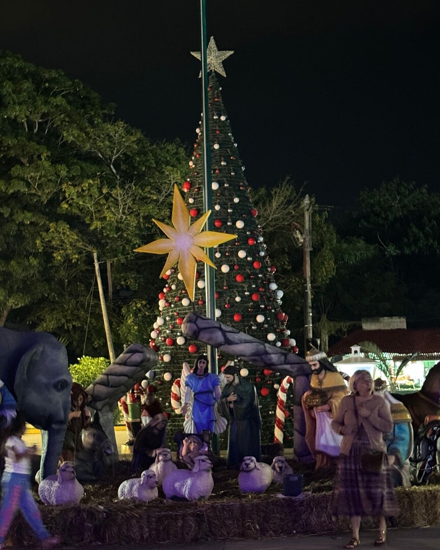 JHernandez718's tweet photo. Tulum feels different at night.

If you are here in December, ask locals where the neighborhood lights are brightest. These small community celebrations are often the most memorable part of the season.

I always suggest looking beyond the beach clubs and… https://t.co/gAWIrpizzS https://t.co/9r8lLgtVmd