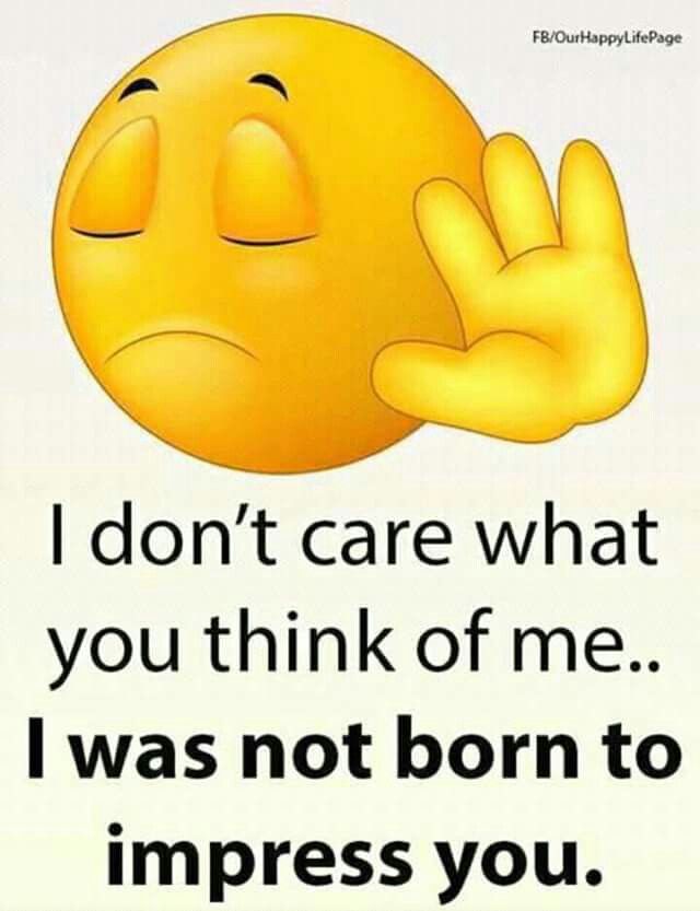 khanii tweet media