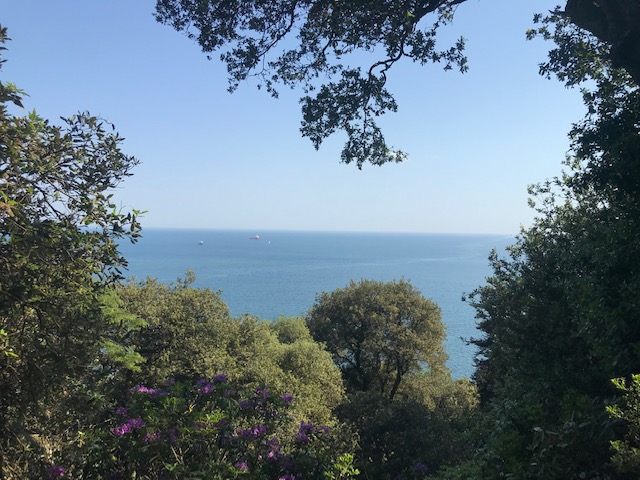 BethanySkinnard's tweet photo. A very peaceful walk (first walked at primary school - probably quicker and not as hot!) π
& spotted a beautiful classic yacht on #Plymouth Sound
#MountEdgcumbe #Kingsand #Cornwall #SWCoastPath #walking #ocean https://t.co/WdFx3I3qJJ