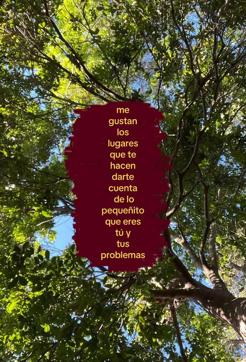 Nasty Poet tweet media