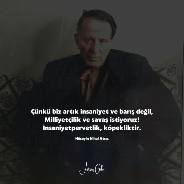 aylak adam tweet media
