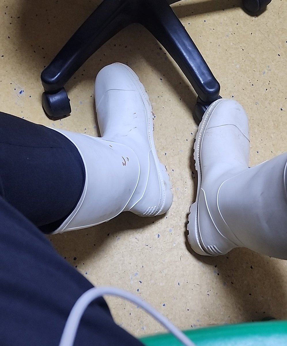 Dr SOA 🥷 tweet media