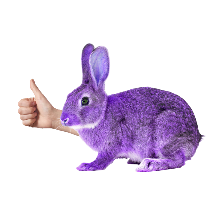 StarCrestedBnuy's tweet photo. Thank you very much @XenoSnep for the amazing realistic emote of me 💜🐇 https://t.co/LYpA8SnbAP