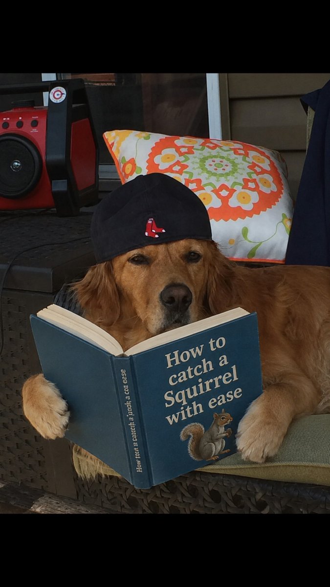 Dog🐕 tweet media