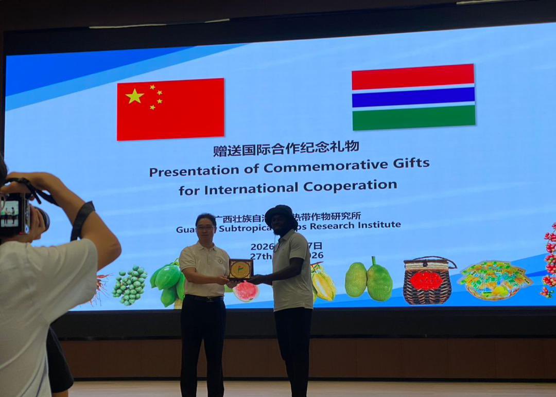 TANGO_CSOandNGO's tweet photo. We visited the Guangxi Subtropical Crop Research Institute one of China’s leading research institute in the field of fruit &amp; vegetable crops, specialized in four major categories of research and promotion which includes Mango, cassava, Macadamia nuts &amp; sugarcane.@ChineseAmb_GM https://t.co/rjaawM6UdX