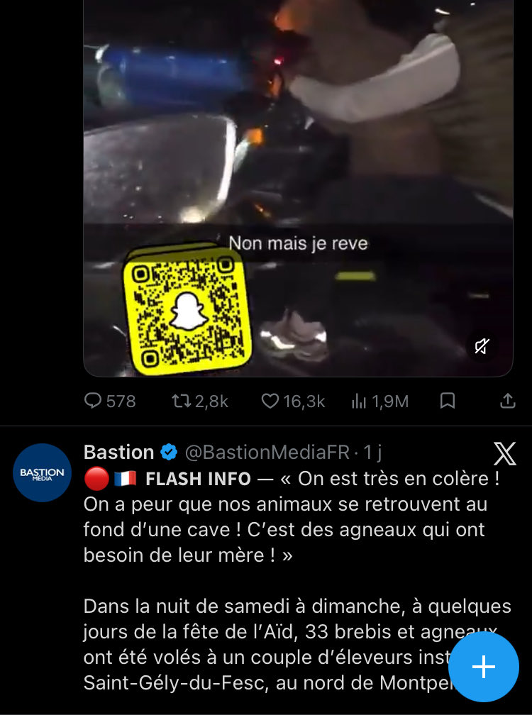 Saint Michel 🇫🇷 🇵🇱 tweet media