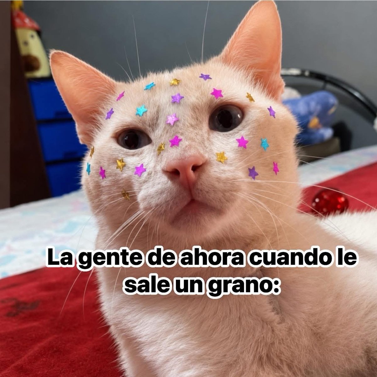 Rincón Curioso tweet media