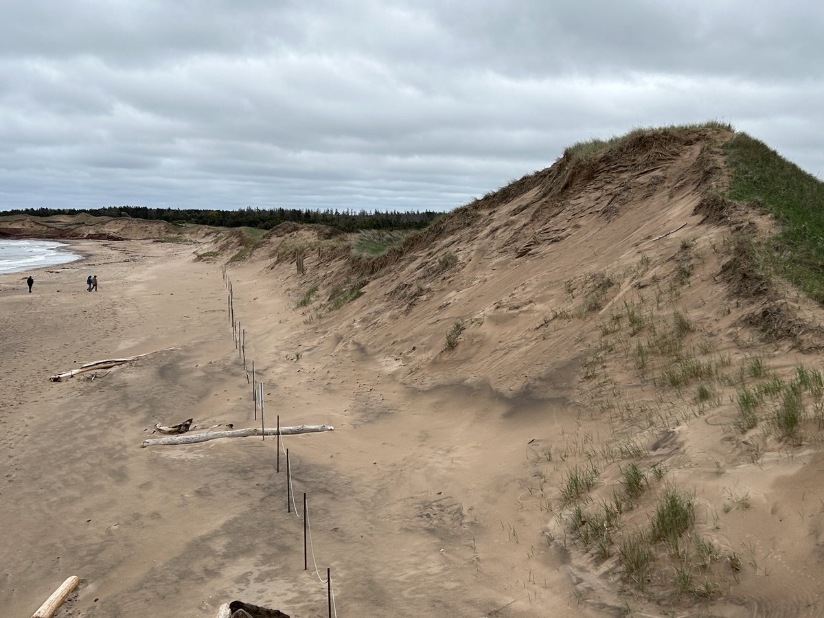 stickie444's tweet photo. Cavendish Dunes https://t.co/9u6XaCBEfu