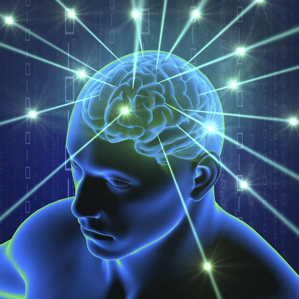 BasedBiohacker tweet media