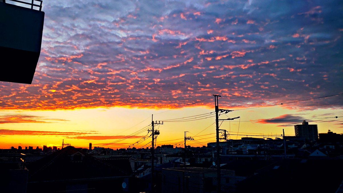 キワワ tweet media