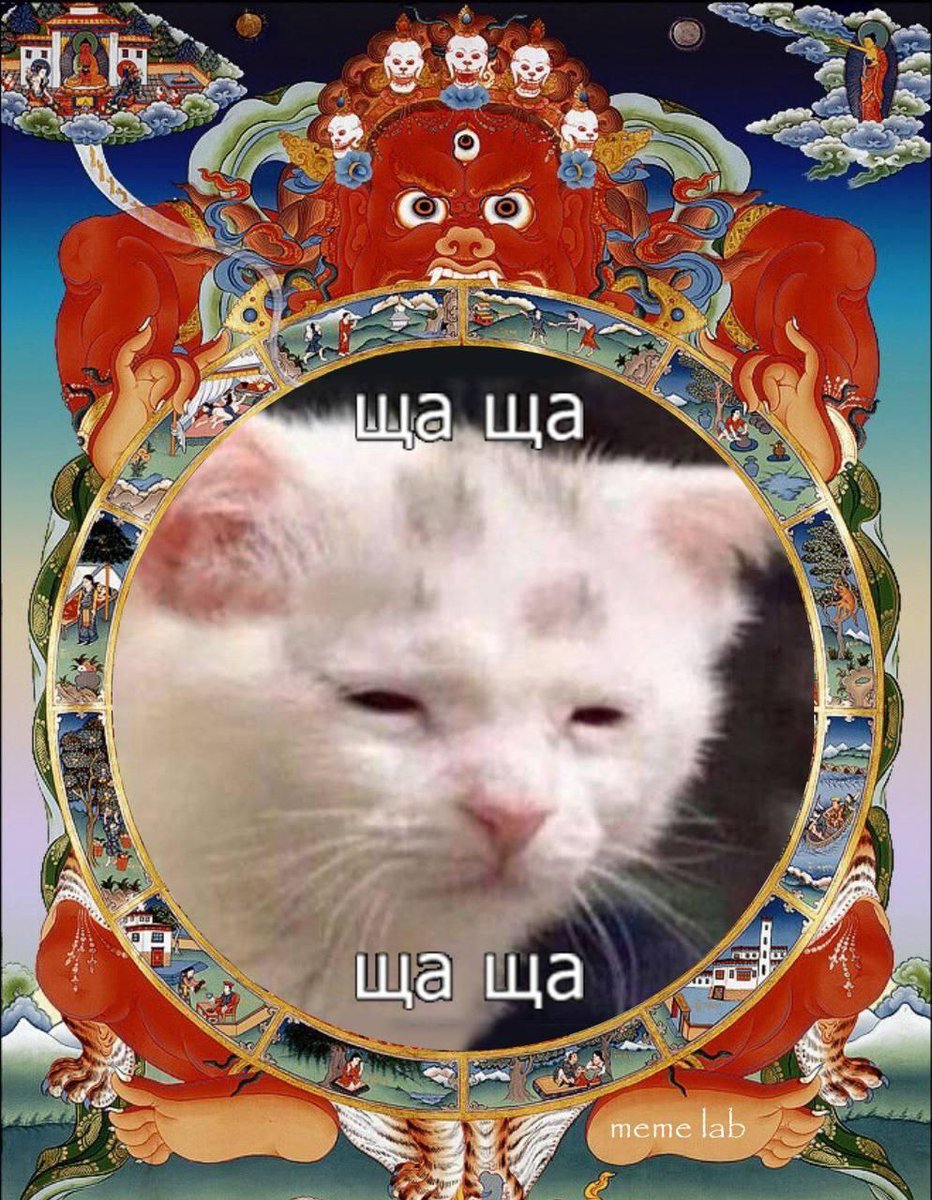 Nickro666's tweet photo. https://t.co/4GWxE1TKw8