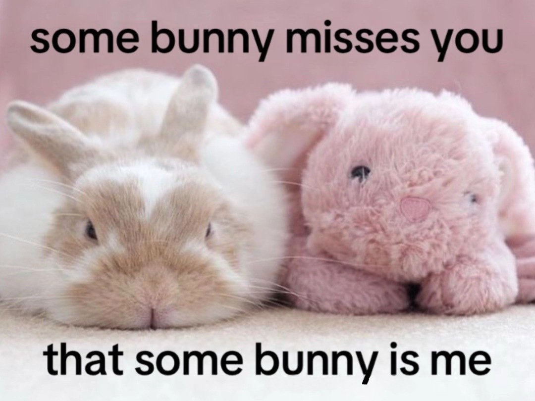 bunny princess ᕱ⑅ᕱ (@fraggedyou) / Posts / X