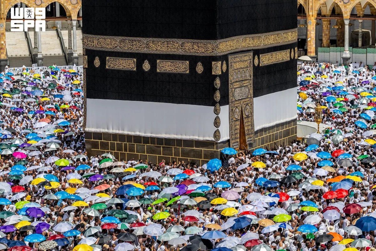 DrAbdulahh's tweet photo. ”أرى الناس أصنافاً ومن كل بقعة     
إليك انتهوا من غـربة وشــتات“

#حياكم_الله 
#حج_1447هـ https://t.co/ayFhweeD28
