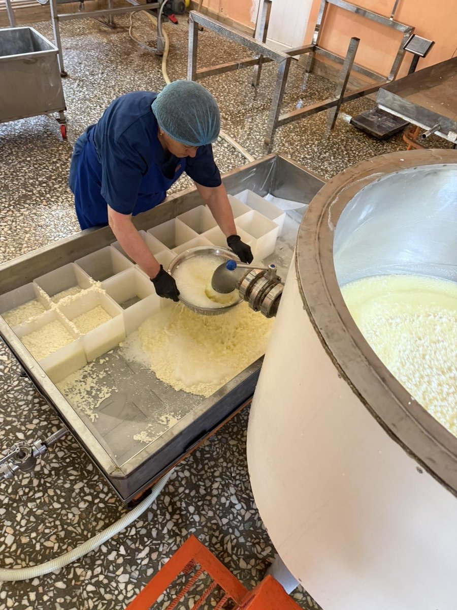 ParosFoundation's tweet photo. Sari Gat in Nerkin Karmir Aghbyur was able to expand its production &amp; distribution, grow its staff, and purchase more local milk thanks to the generous support of Jean-Marie &amp; Lori Atamian. This investment created a meaningful economic boost for the village! https://t.co/z0fSulCsZS