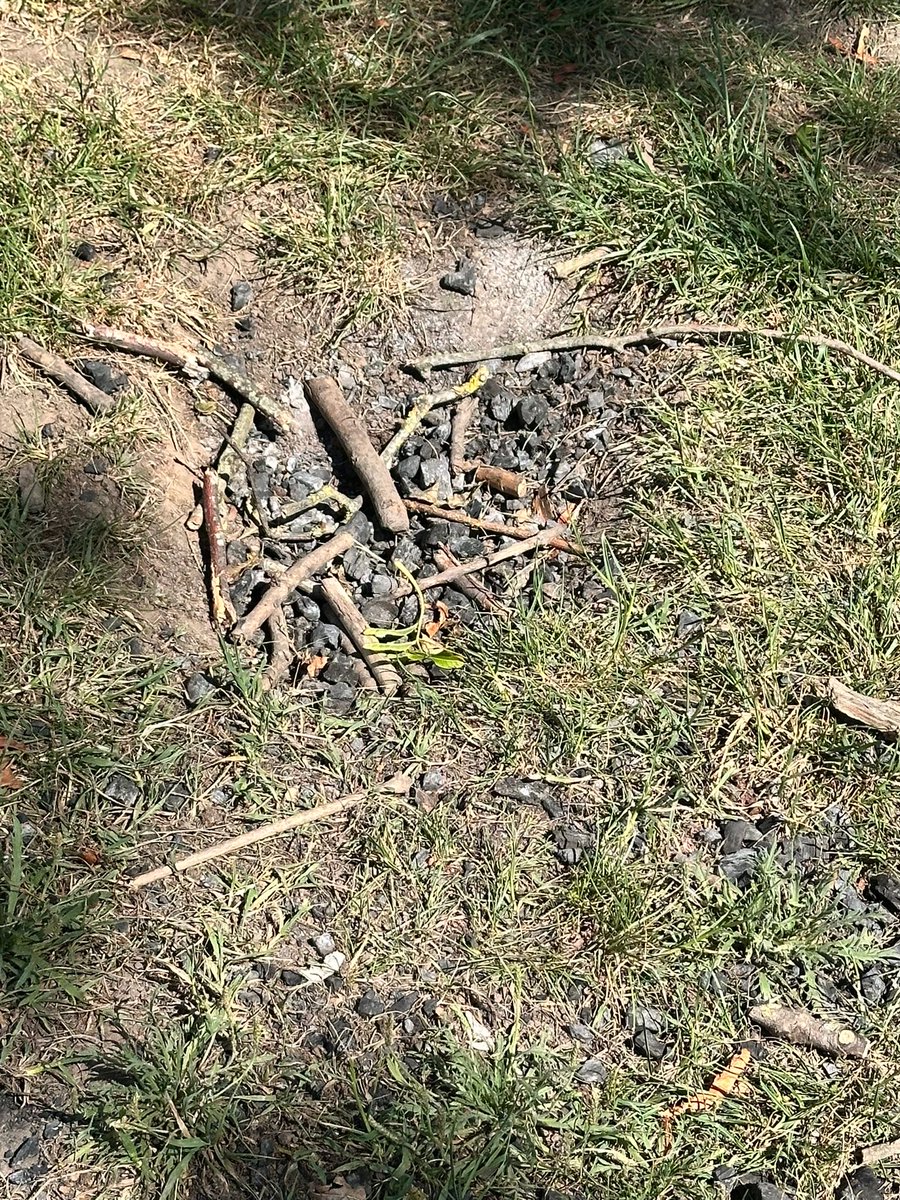 EPNWS's tweet photo. 😡 What bright spark (not!) thought it was okay to light a #fire in #EaglesfieldPark

🔥 The hot, dry weather causes dry grass &amp; foliage so it only takes a spark to cause a #wildfire

❌ Don't have barbecues (inc disposable ones) in parks &amp; public spaces. Take a picnic instead. https://t.co/1odYkWOMPR