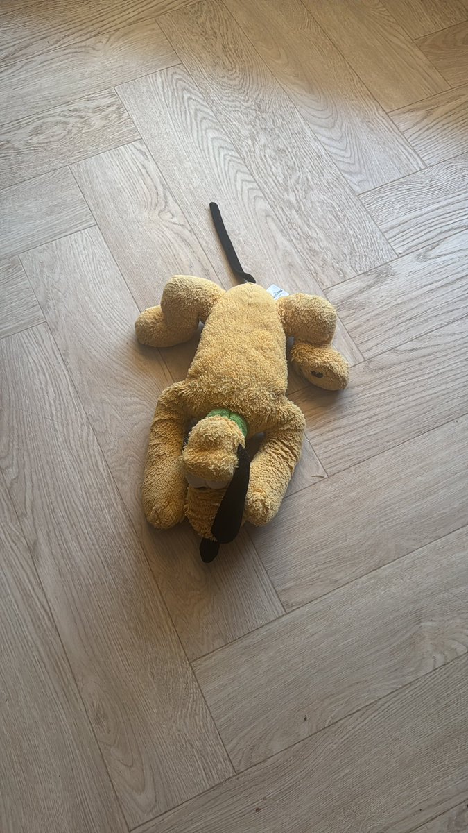 JackWilson5183's tweet photo. @pitlochrybutche You’ve done it again you selfish arse*ole my dog comes home like this https://t.co/8Z8CFEOula