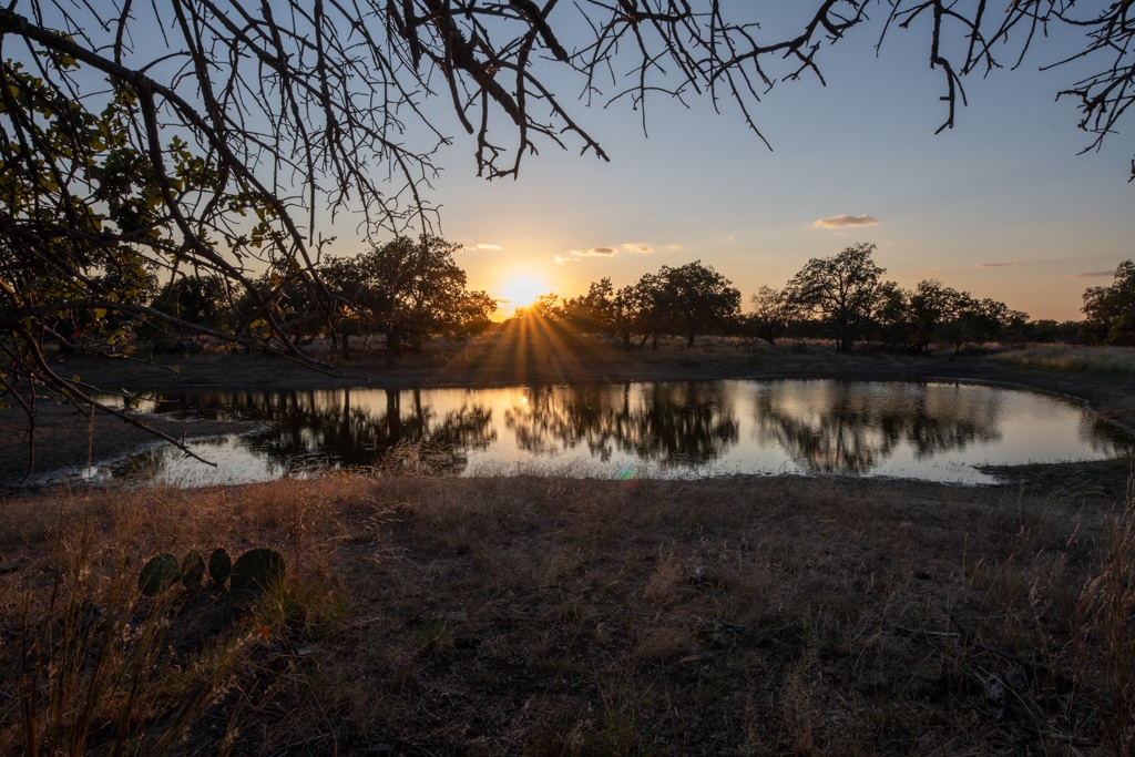 SimpsonRanches's tweet photo. NEW LISTING | SHADY OAK RANCH
Mason County, Texas | ±120 Acres

Offered at $1,023,255.50
For additional information or to schedule a private showing, contact Anthony Simpson at 210-854-6365 today!
https://t.co/4kjmxfBnVg https://t.co/nGVX4KqU2i