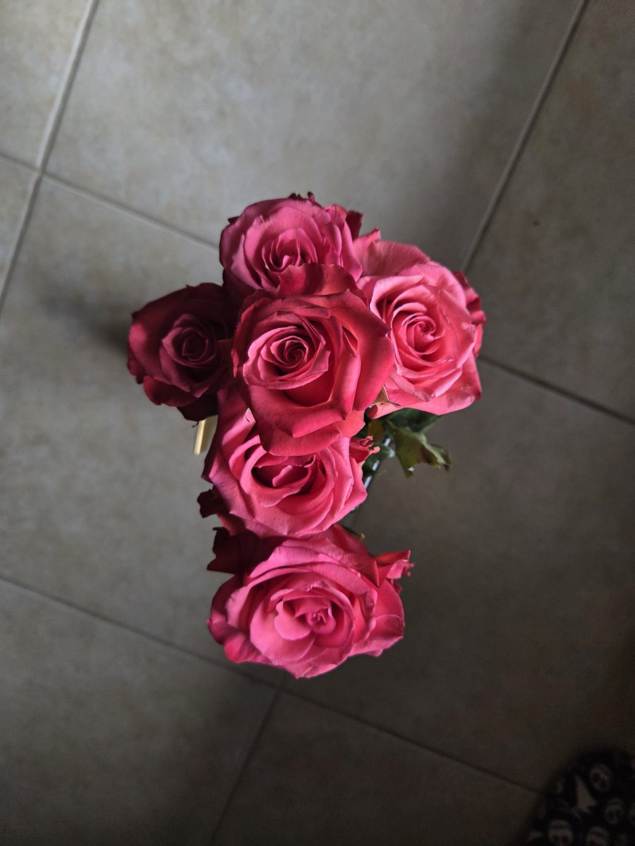 Katana0075's tweet photo. My JW friend surprised me with roses &amp; chocolates for our Bible Study session today!🥰 "Coincidentally" they formed into a cross as I cut the stems &amp; put em in the vase..thanks Jehovah, aka Yahweh!🥰🤗😘 https://t.co/vIX6H7HMhd