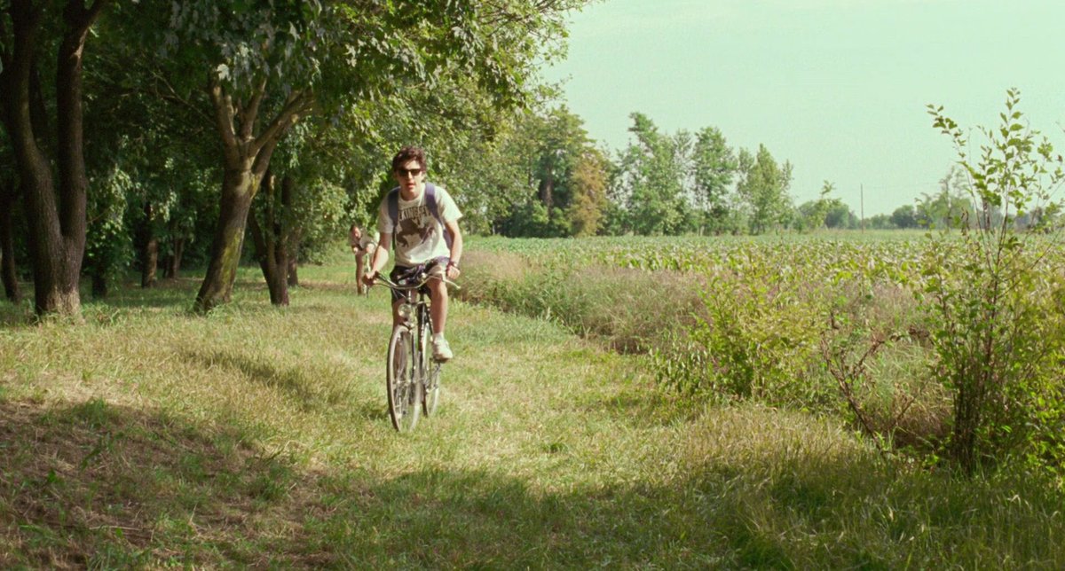 timotheeupdates's tweet photo. 'Call Me By Your Name' will be re-released only in AMC theaters from June 12 to June 18.

The film received 4 Oscar nominations, including 'Best Actor' for Timothée Chalamet. https://t.co/eaiVWmPBYc