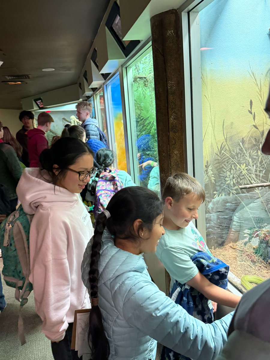 ForestHillsPS's tweet photo. What happens when 2nd graders &amp; high schoolers become pen pals? Pure magic! Mrs. Mast's OV 2nd graders and Dr. Keller's CHS Honors Pre-AP English 1 students spent the year exchanging letters, sharing their worlds, and building friendships. A zoo trip together was the finale? https://t.co/38jVQ1CZDW