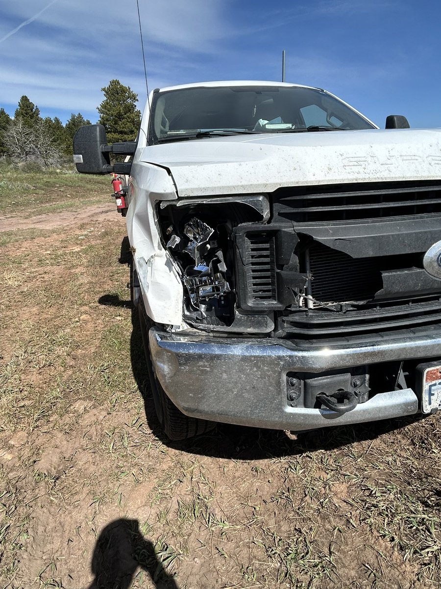 Boop_Jones's tweet photo. One less deer alive ✅ https://t.co/oBaqnhCFzZ