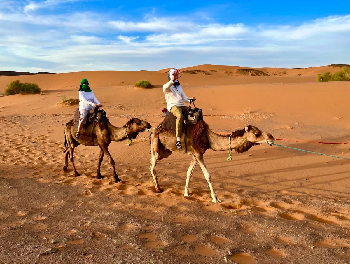chipwalter's tweet photo. I’ve watched the sun melt into the Sahara with Cyndy, stood under the hard brilliance of the Atacama stars, watched a wild storm sweep in over the Straits of Magellan—but have I really absorbed those experiences? Keeping the World at Bay. Field Notes: https://t.co/7wOYIWHmUl https://t.co/vzYC1JQM9R
