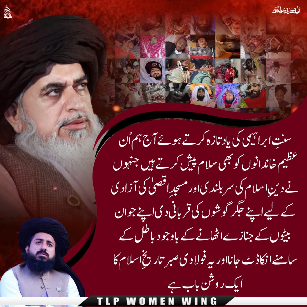 میرب🕊️✨ tweet media