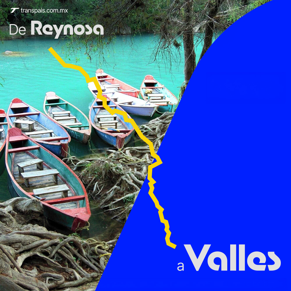 Transpais's tweet photo. ¿Te llevamos de Reynosa a Valles? 🚌

Para volver con tu familia, para estar un rato, para compartir. 🫂
Cuando quieras ir, aquí estamos para acompañarte y tener #ElHonorDeLlevarte.

Encuentra tus boletos en https://t.co/JeyAdUkObT o en la app #Transpais. https://t.co/RlbD7UnGQJ