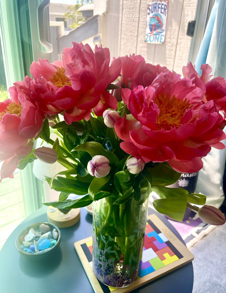 ZenLotusArts's tweet photo. #TraderJoes does it again! The #peonies are amazing! #Flowers #Spring #Blooms 
🩷🩷🌸🌸🩷🩷🌺🌺🩷🩷 https://t.co/WMmIje0XYf