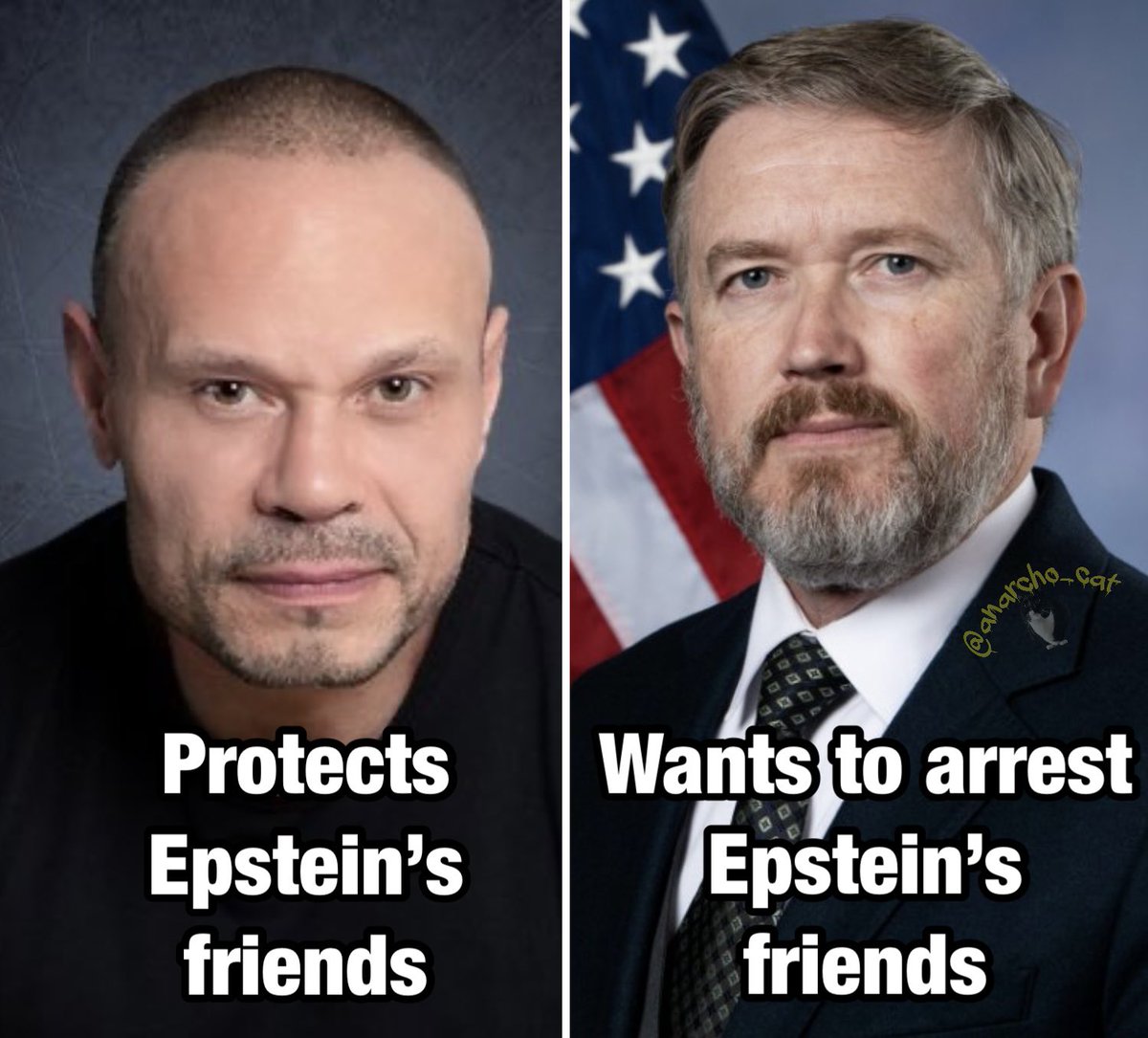 anarcho_cat's tweet photo. Imagine siding with Dan Bongino over Thomas Massie https://t.co/rdJ4wClmVb