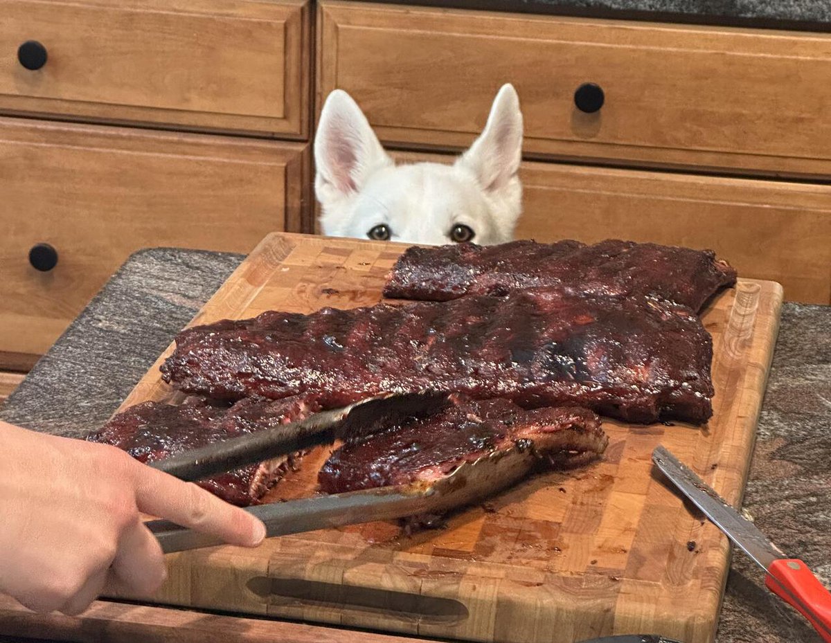 homevsfastfood's tweet photo. [Homemade] Kurobuta pork spare ribs
#Homemade #KurobutaPork #PorkRibs #BBQ #HomemadeDelights #homecooking #food #recipes #foodpic #foodie #foodlover #cooking #hungry #goodfood #homecookingvsfastfood https://t.co/ydUTaaZPva