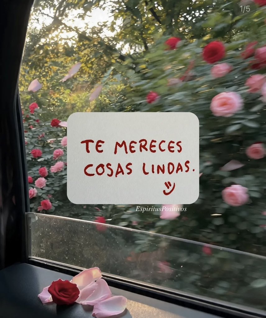 dilocondibujos_'s tweet photo. https://t.co/VgZ80DodXf