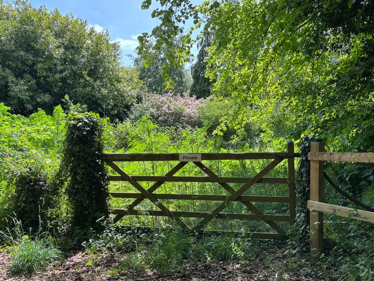 edmondslyn's tweet photo. A sunny woodland scene in Cambridgeshire centred around a lovely 'Private' rural gate that has become surrounded by overgrown trees, shrubs and wild flowers 🍃
#RuralGate #ThursGate #lovegates @LoveOfGates https://t.co/7ffcGQZBbx