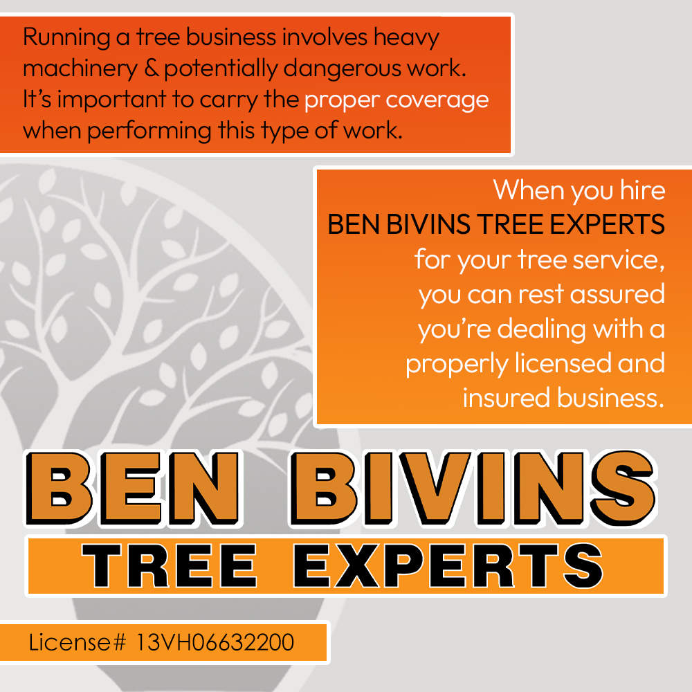 BivinsTree's tweet photo. When you hire Ben Bivins Tree Experts, you can feel confident knowing you are working with a properly licensed and insured tree service company.
#TreeService #LicensedAndInsured #TreeCare #NJTreeService #SmithvilleNJ #OceanCountyNJ #TreeRemoval #ProfessionalTreeCare #TreeExperts https://t.co/ICD5mHV8Hc