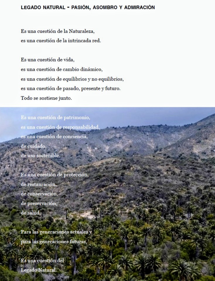 AlvaroPromis's tweet photo. En tiempos de incertidumbre climática, ambiental, de biodiversidad, de naturaleza, vuelvo a la reflexión. https://t.co/9xyYrgjA2p
