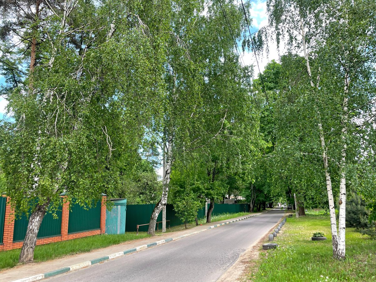 APGorin's tweet photo. 26 мая 2026 года. Ночь-утро +10. День +13. Вечер-ночь +11. Пасмурно, облачно. Дождь. https://t.co/MEYR4SYT6E